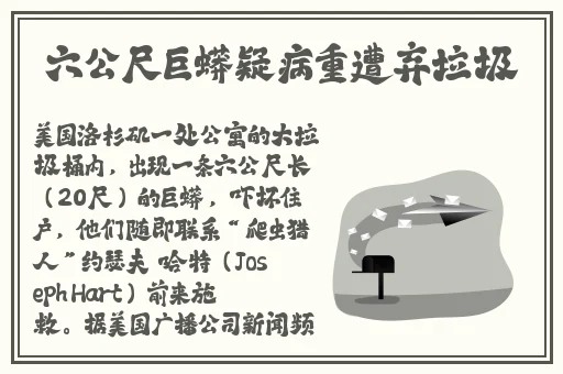 **免费0948视频
