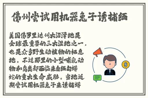 麻婆豆腐传媒入口