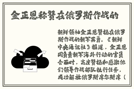 30种BB形态哪种最好
